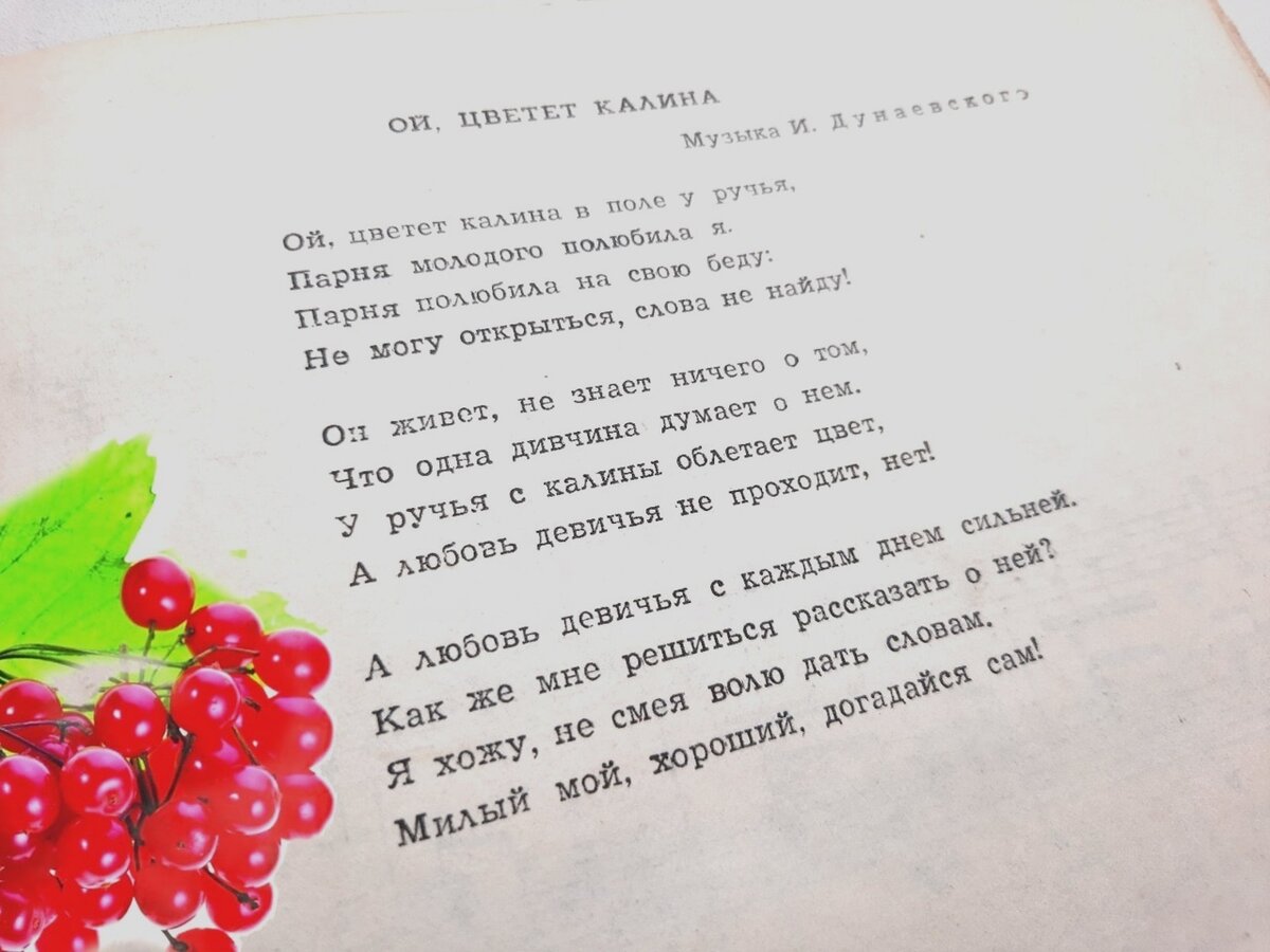 Песни со словом калина. Ой цветет Калина. Ой цветёт Калина в поле слова.