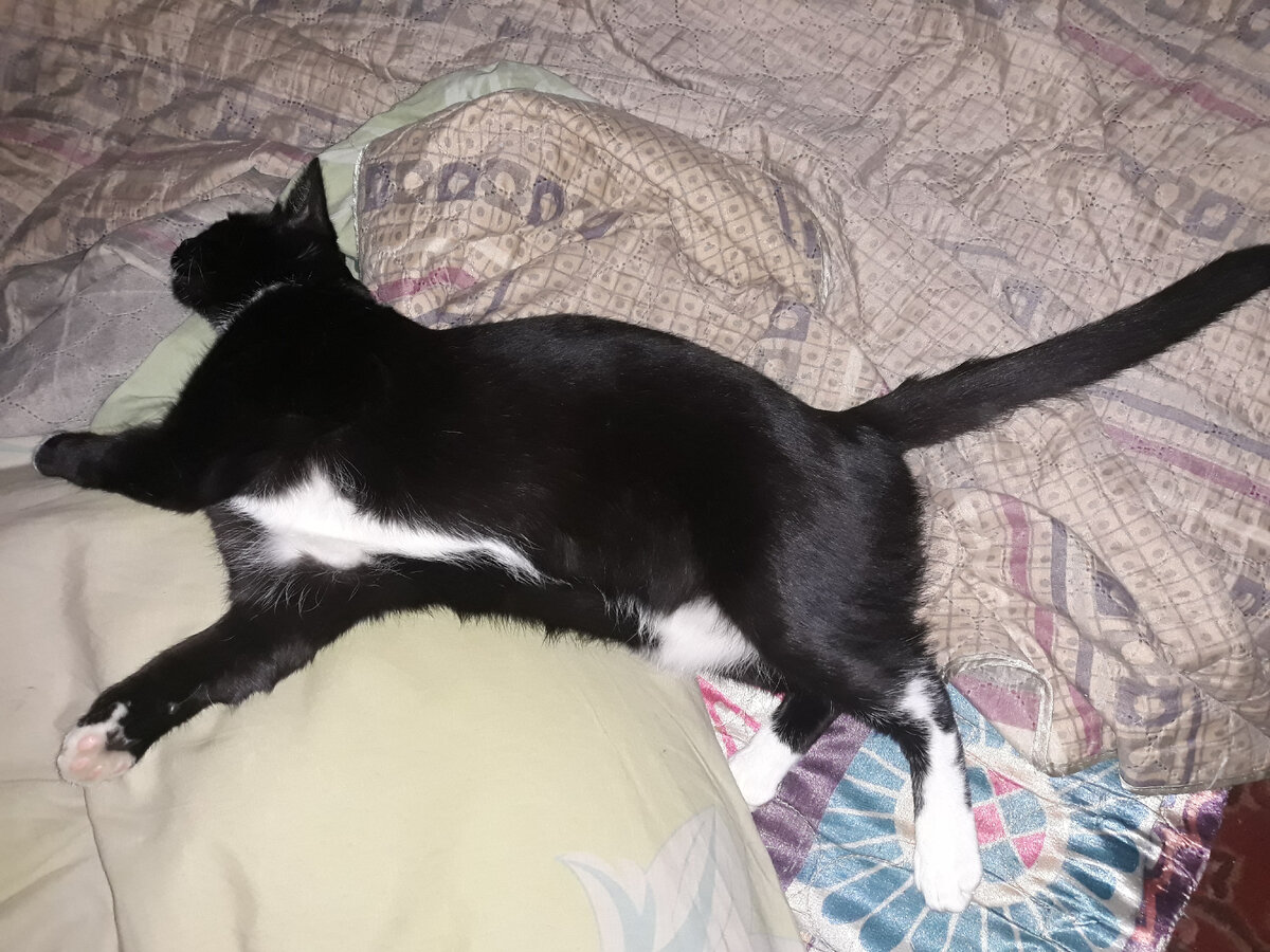 Майка оочень поправилась!