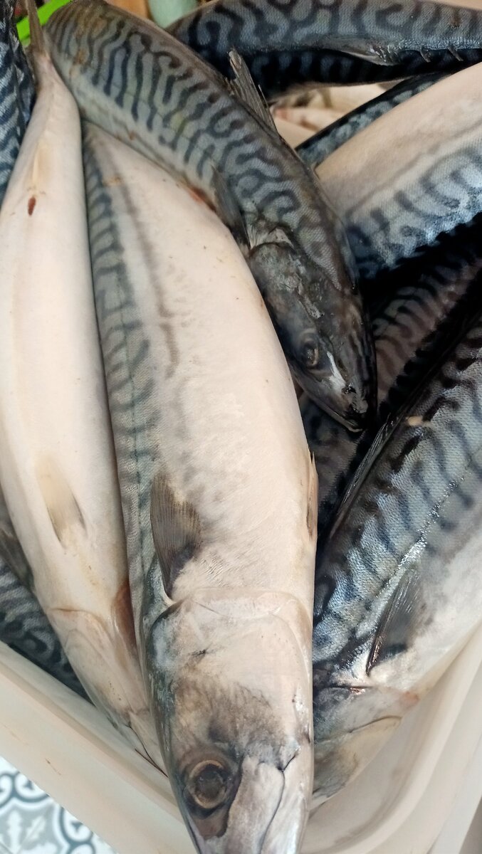 скумбрию любят и в соленом и в копченом виде.