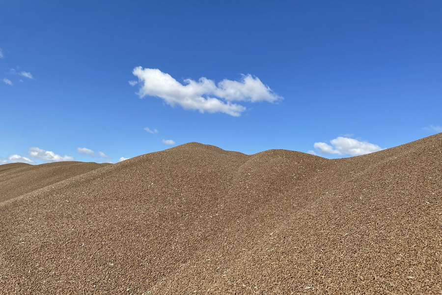 Коротко о зерне и папуасах