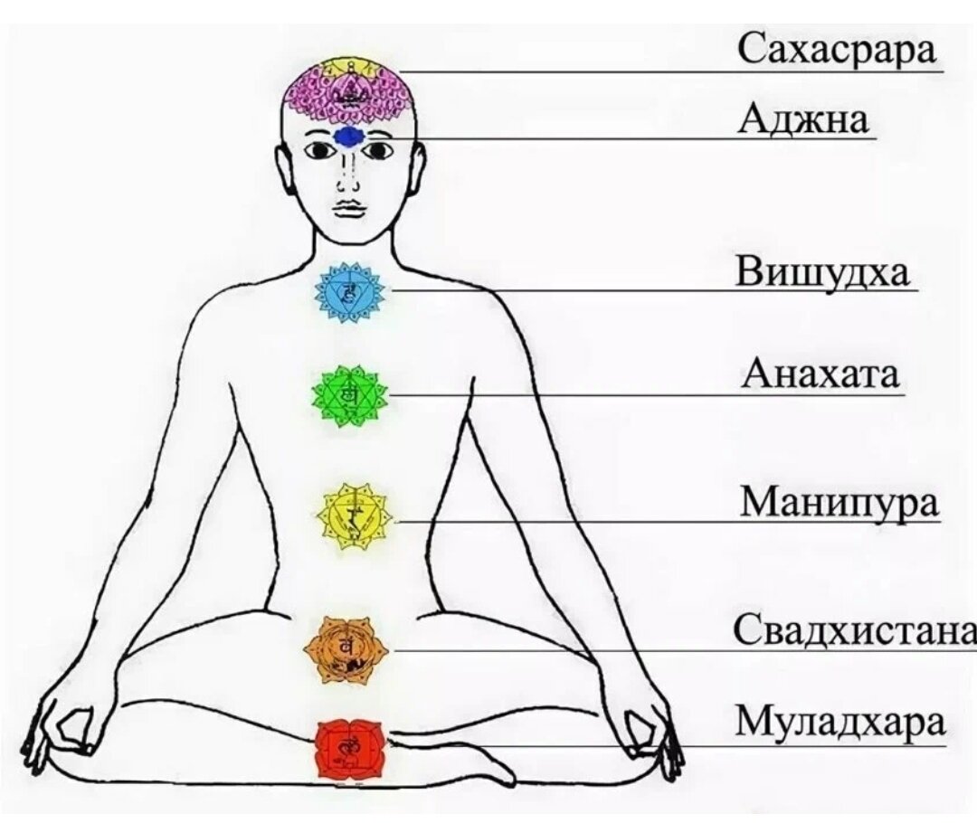 Они расположены. Чакры человека схема. Муладхара Свадхистана Манипура Анахата Вишудха Аджна Сахасрара. Чакры схема расположения. Расположение чакр на теле человека рисунок.