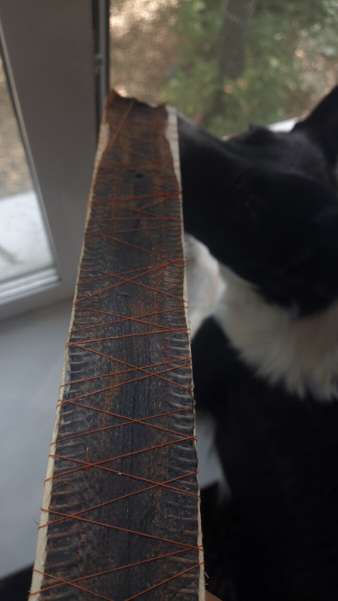 Кожа змеи (обратная сторона) после сушки