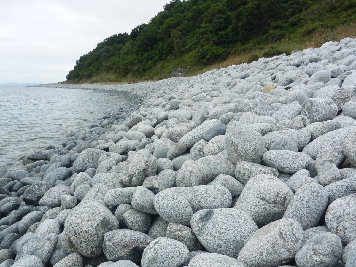 Белый в крапинку