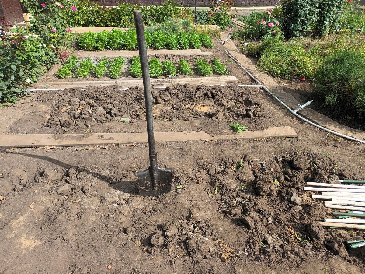    Осенние хлопоты на огороде. Разбираемся с помидорами, убираем ботву и делаем хреновину Андрей Севостьянов