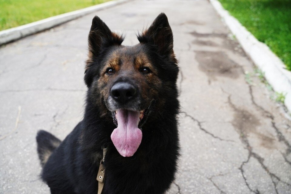     Фото: архив КП