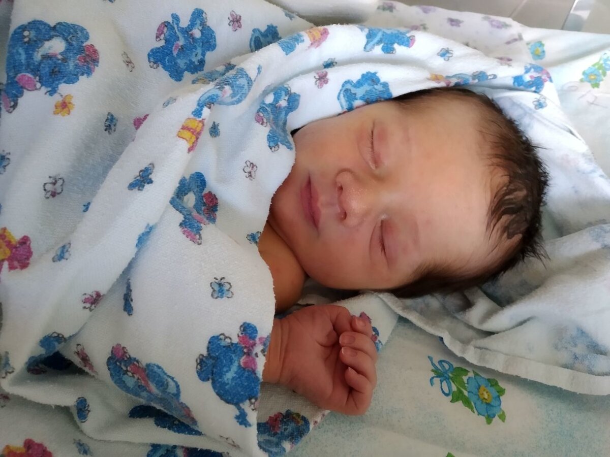 Первые деньки