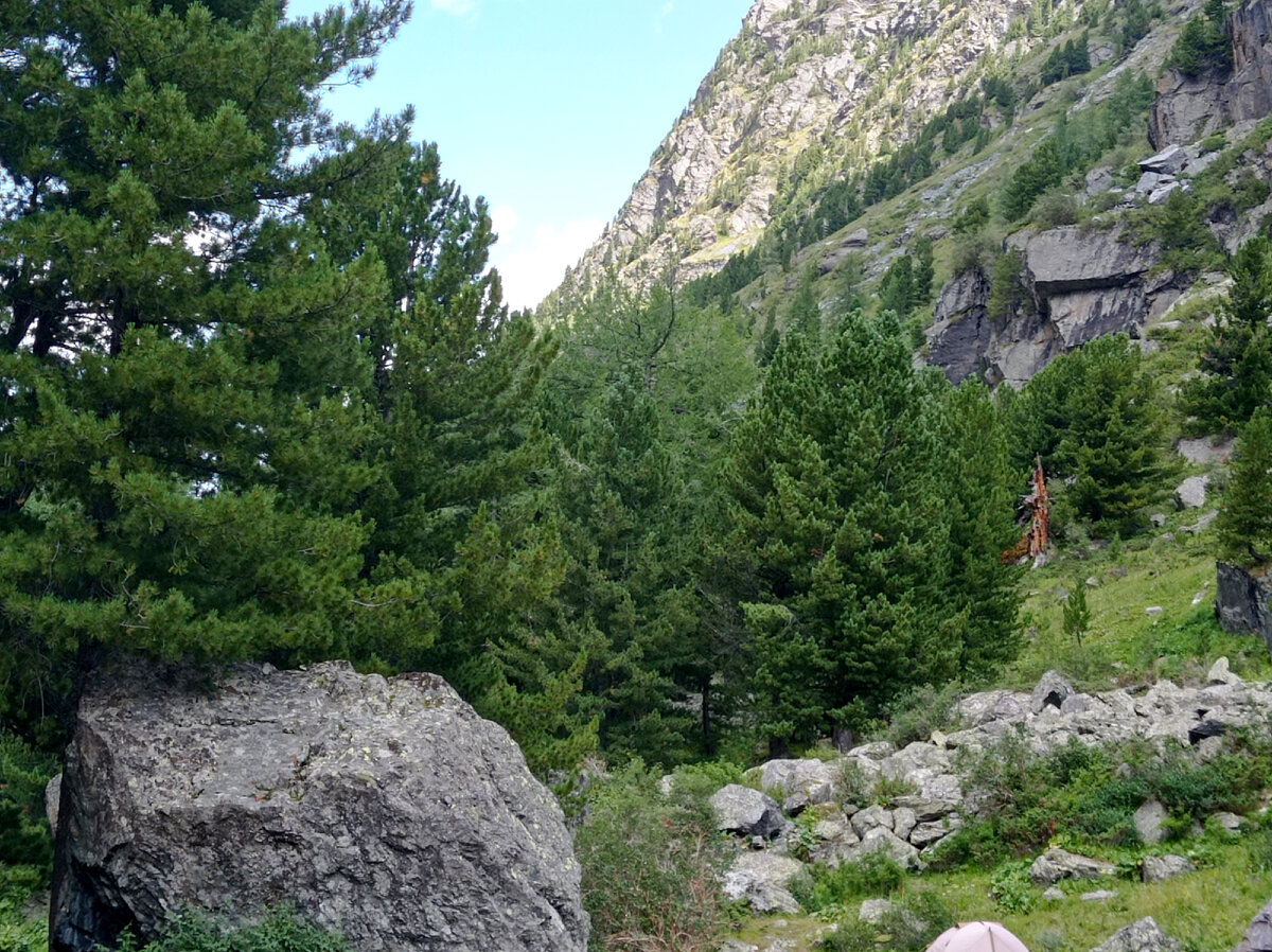 Слева наверх – нам туда