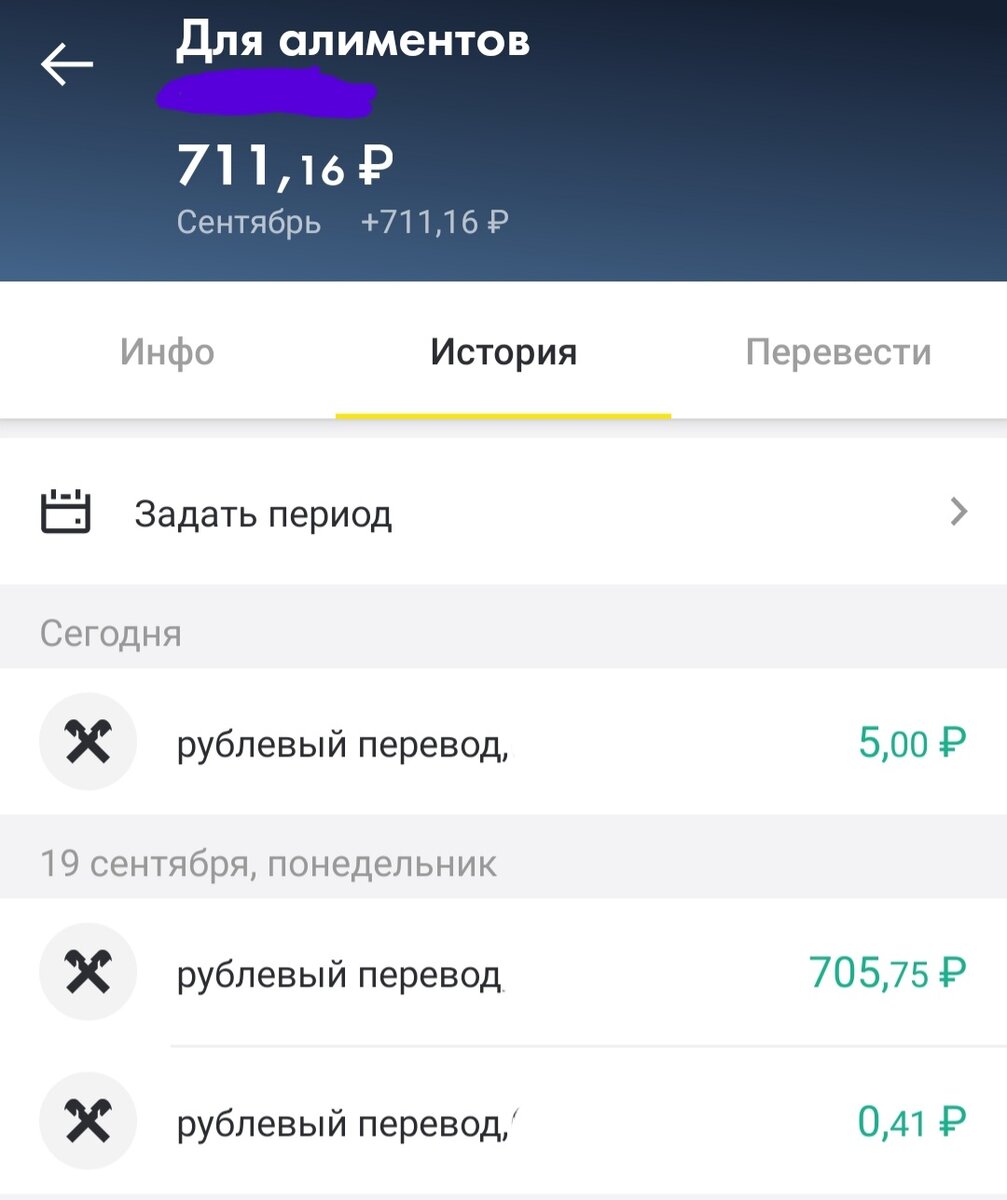 Скрин. Я затерла номер ИП, который отображается рядом с суммой перевода.