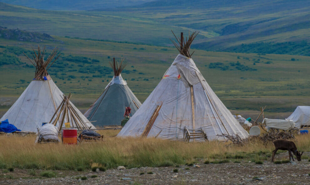    Число IT-стойбищ в ХМАО вырастет до 29