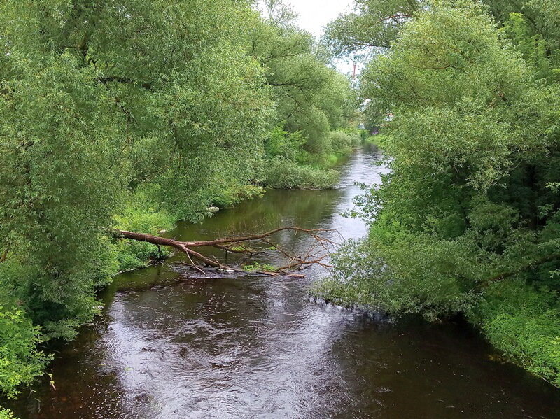 Картинка из открытого источника.