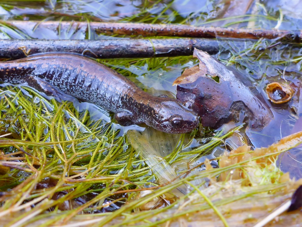 Источник фото: https://xn--80aegdhq1aei9j.xn--p1ai/