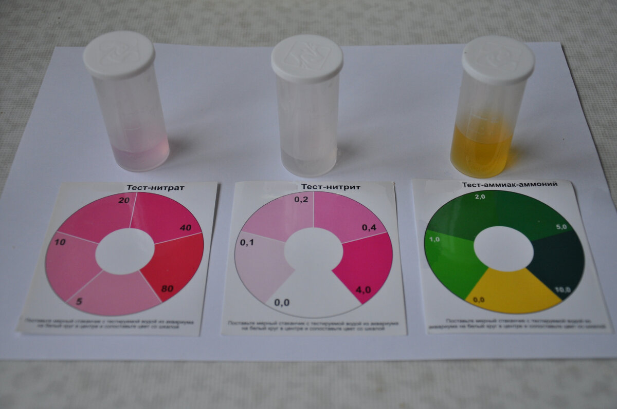 Нитрит тест. Нилпа тест нитрит инструкция. Нилпа no2. Нитрит тест. Нилпа индикатор нитриты.