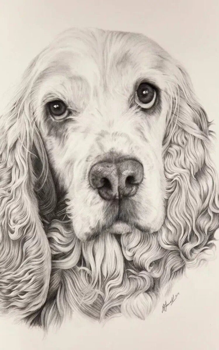 Картинка взята из интернета 