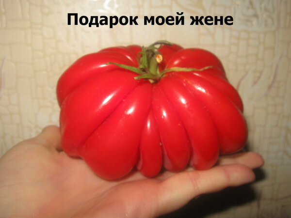 Из интернета