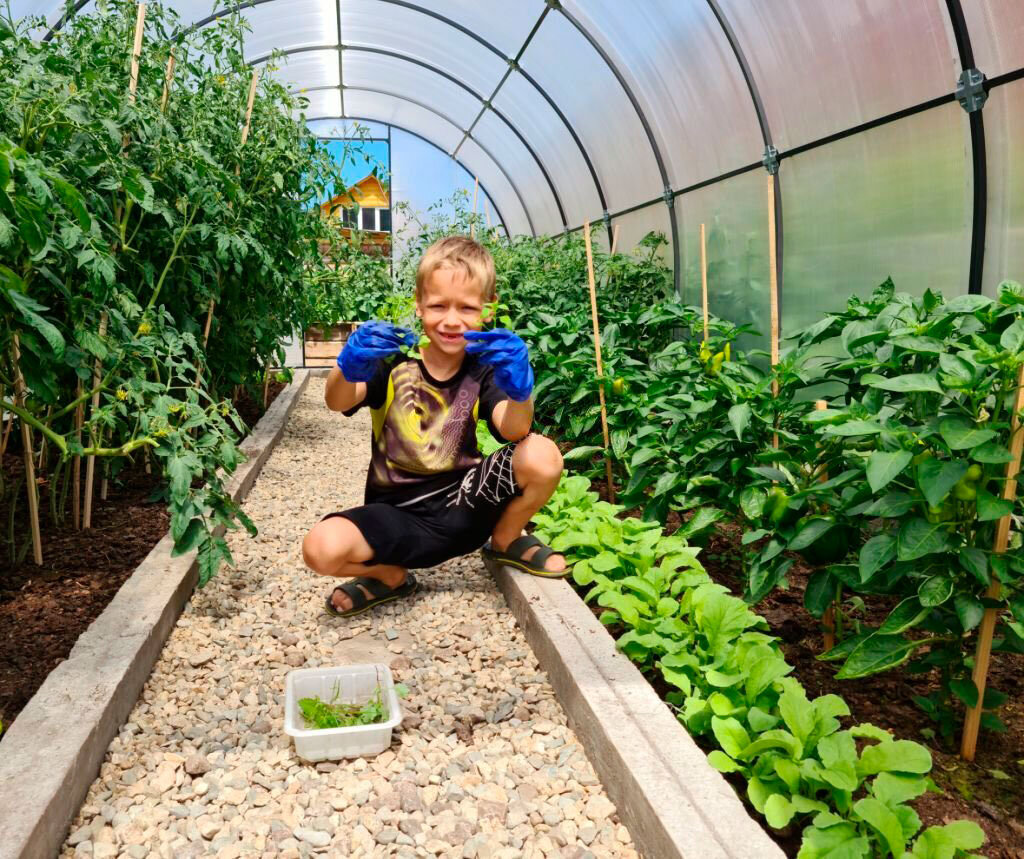 Прополка теплицы от сорняков.