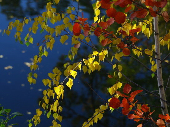     Фото Юлии Боровиковой