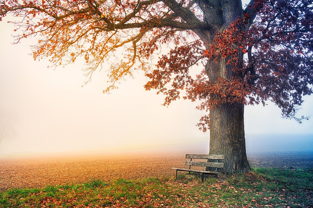 Изображение Joe с сайта Pixabay 