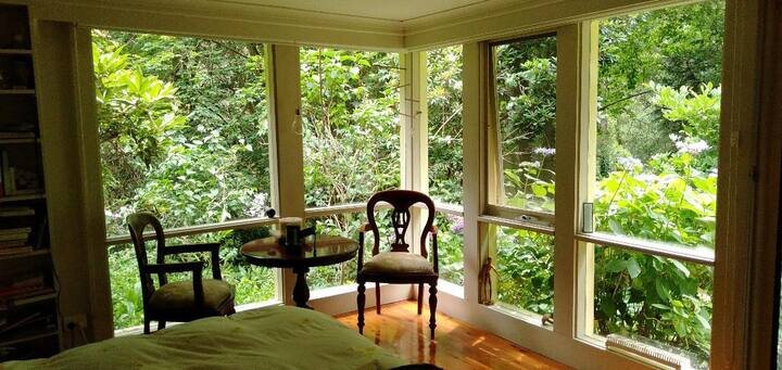 Деревья загораживают окна на первом этаже