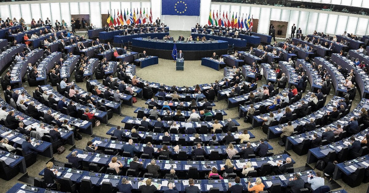  Европейский Совет, Комиссия ЕС, Совет министров, Европейский парламент и Суд ЕС, - пять институциональных органов для управления Европой и около 30-ти постоянных комиссий, - неэффективная система управления, но прекрасный надзорный и репрессивный аппарат.