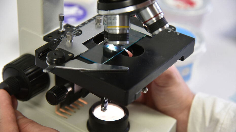   Автор фото: Михаил Кирьянов (из архива)