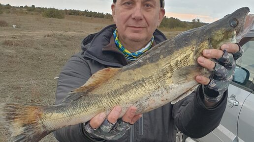 Час Рыбака-Рыбачу в Подмосковье. | Астрахань, Кигач Судак на трёшку.