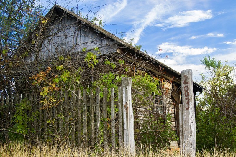 фото взято из открытых источников
