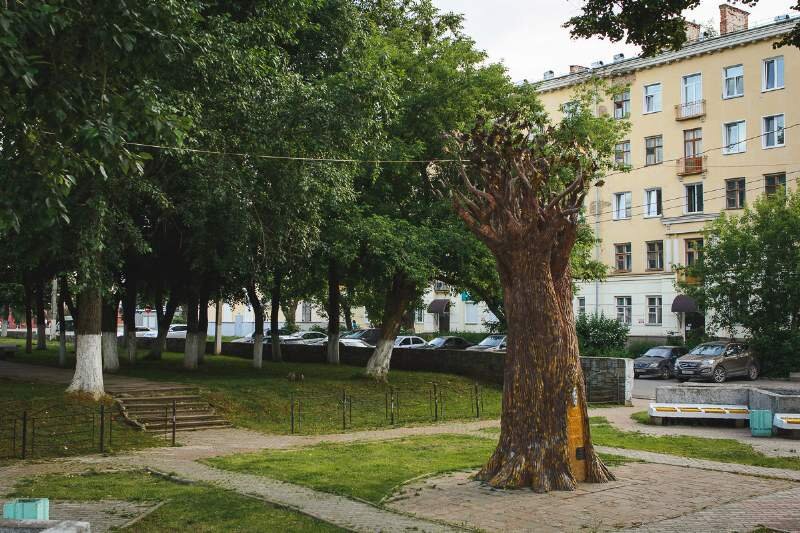 Деревья кирова фото
