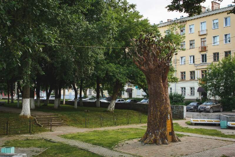 Дерево желаний киров фото