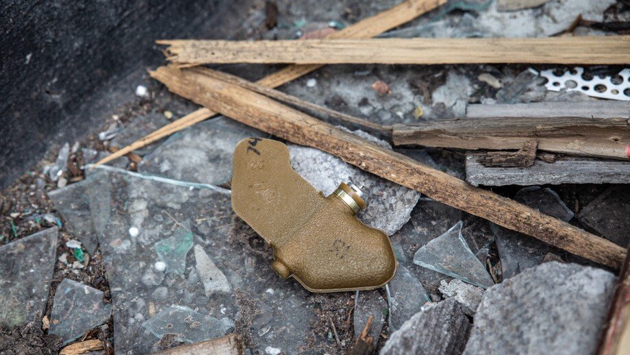 Фото: ТАСС / Александр Река