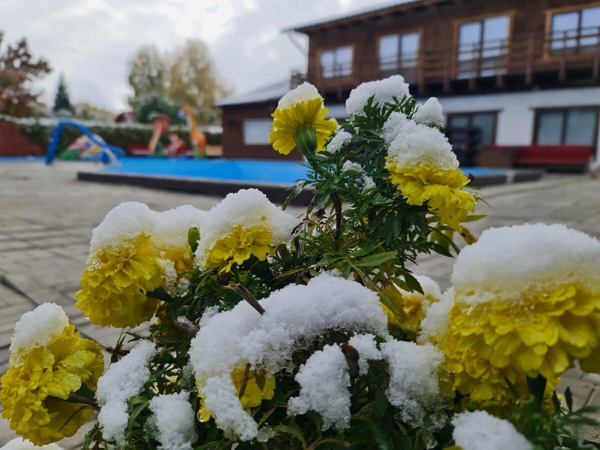 Фото: Медведев Александр