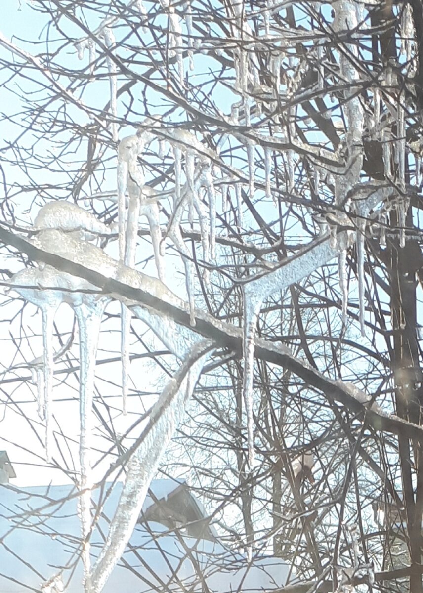 и у нас скоро зима -фото автора