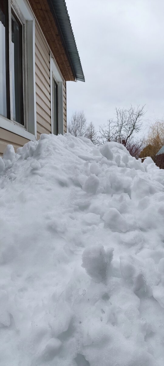 Снег летит не только с неба) огромный сугроб приземлился с крыши мгновенно. Собака чудом успела отскочить. Теперь ходит и посматривает с опаской на крыши. 