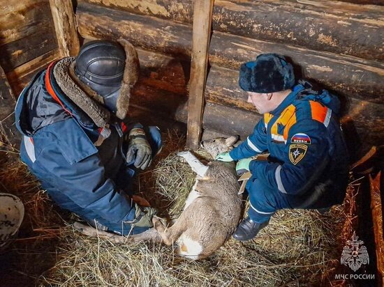     фото: группа "МЧС по Республике Карелия"