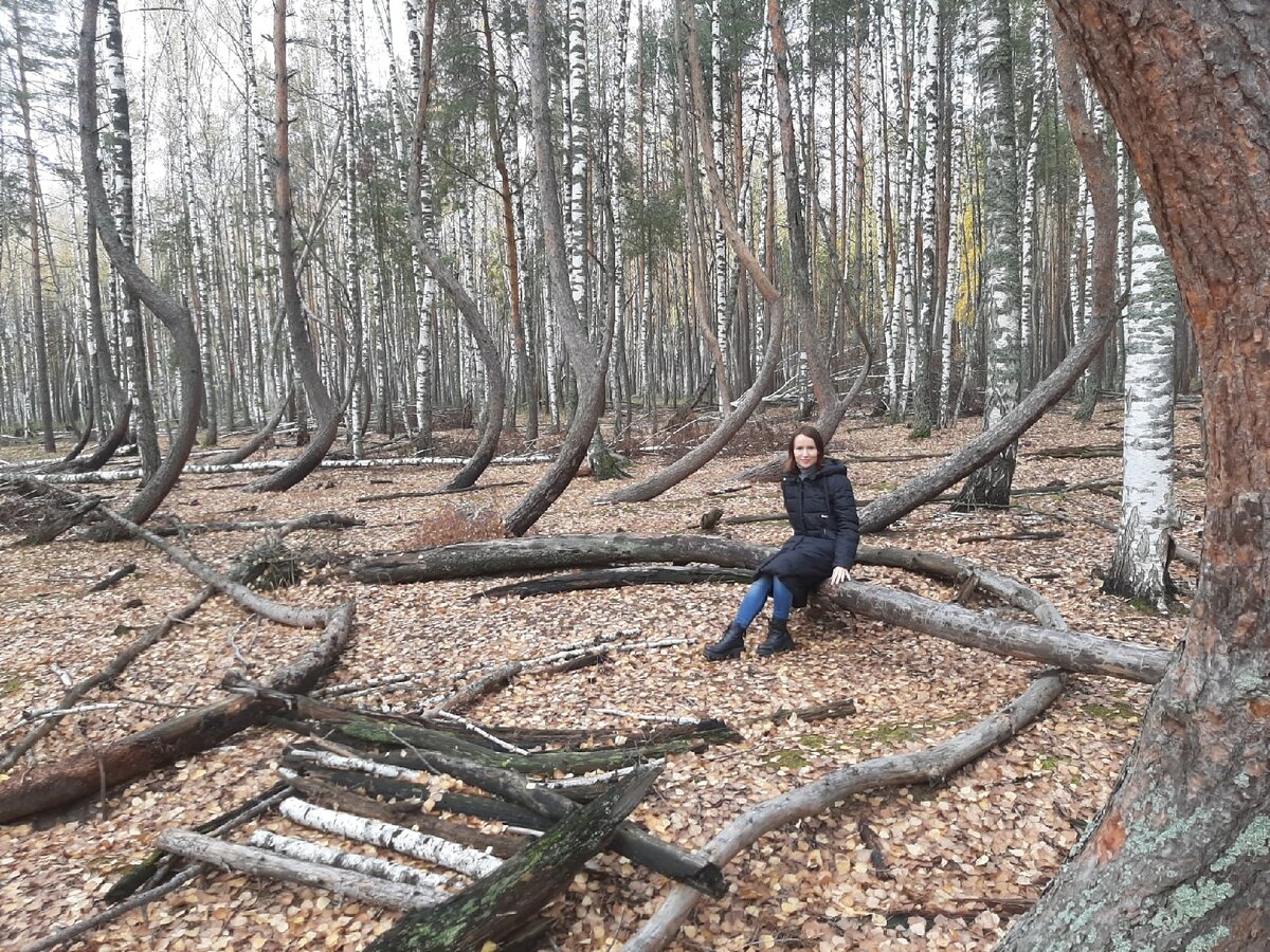 Пьяный лес