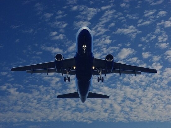     Фото: pixabay.com