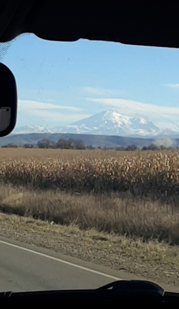 Вид из окна машины