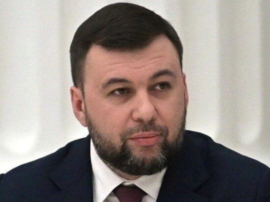     фото: Денис Пушилин. Источник: википедия