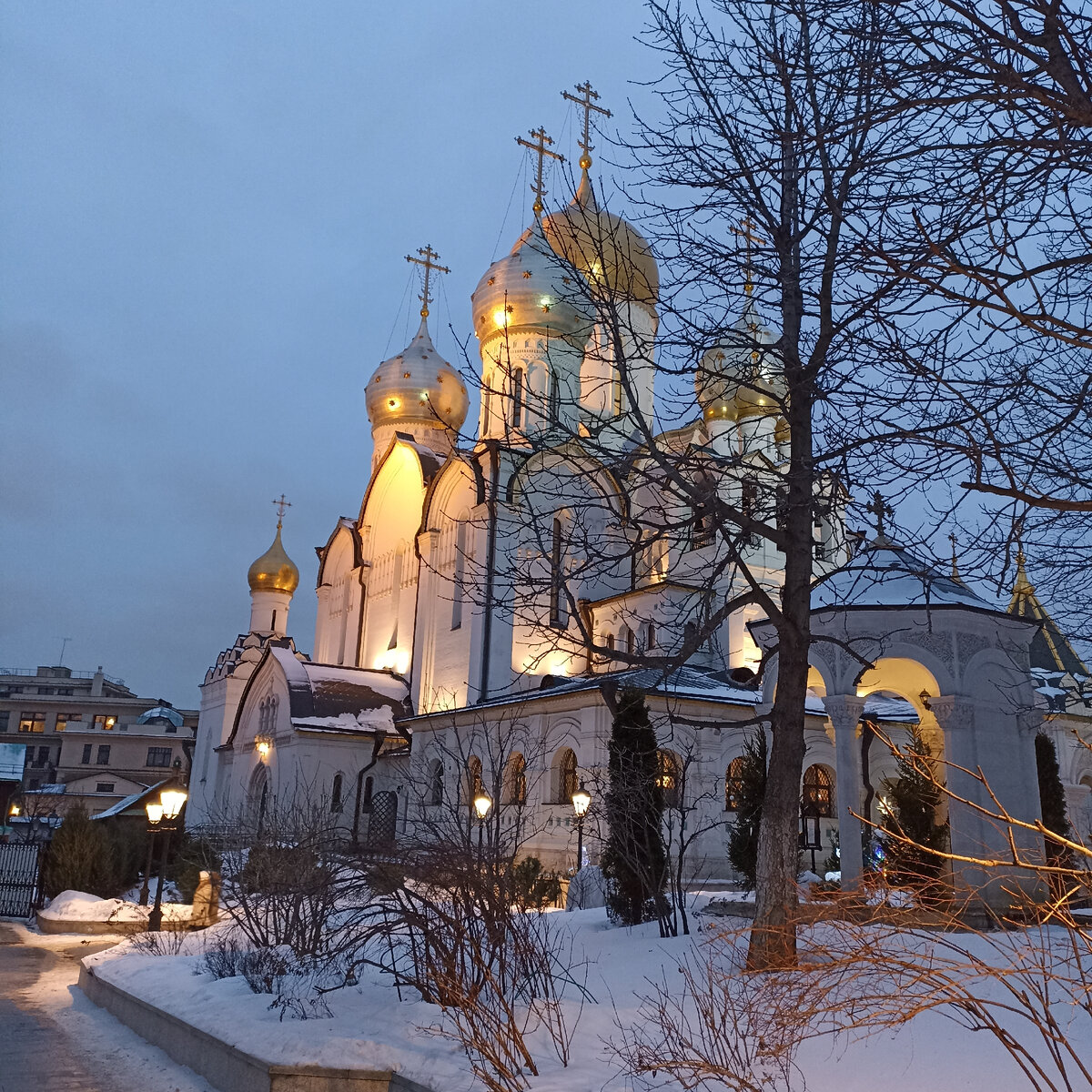 Зачатьевский женский монастырь 