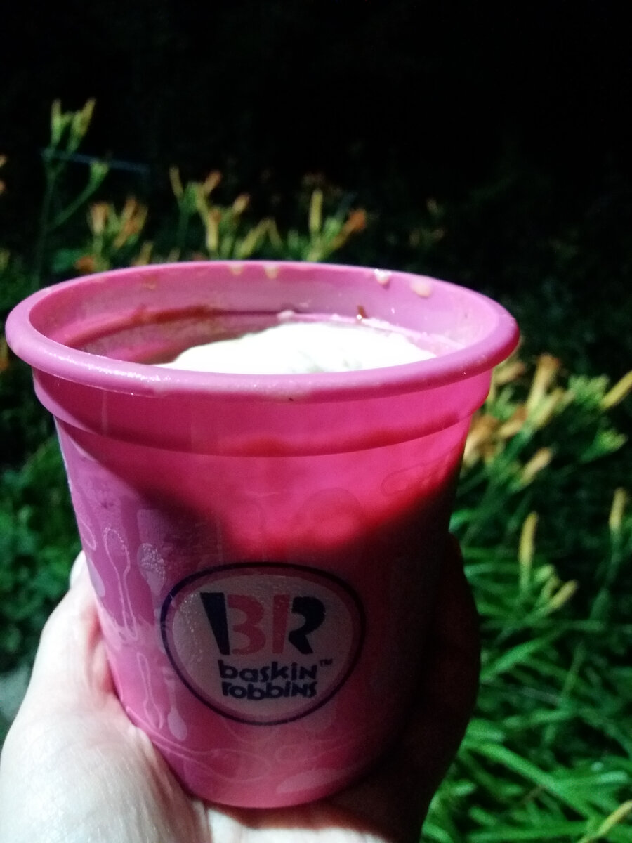 Мороженое Baskin Robbins с грецким орехом