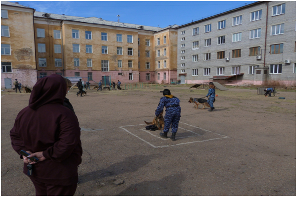 Практическое занятие по кинологии