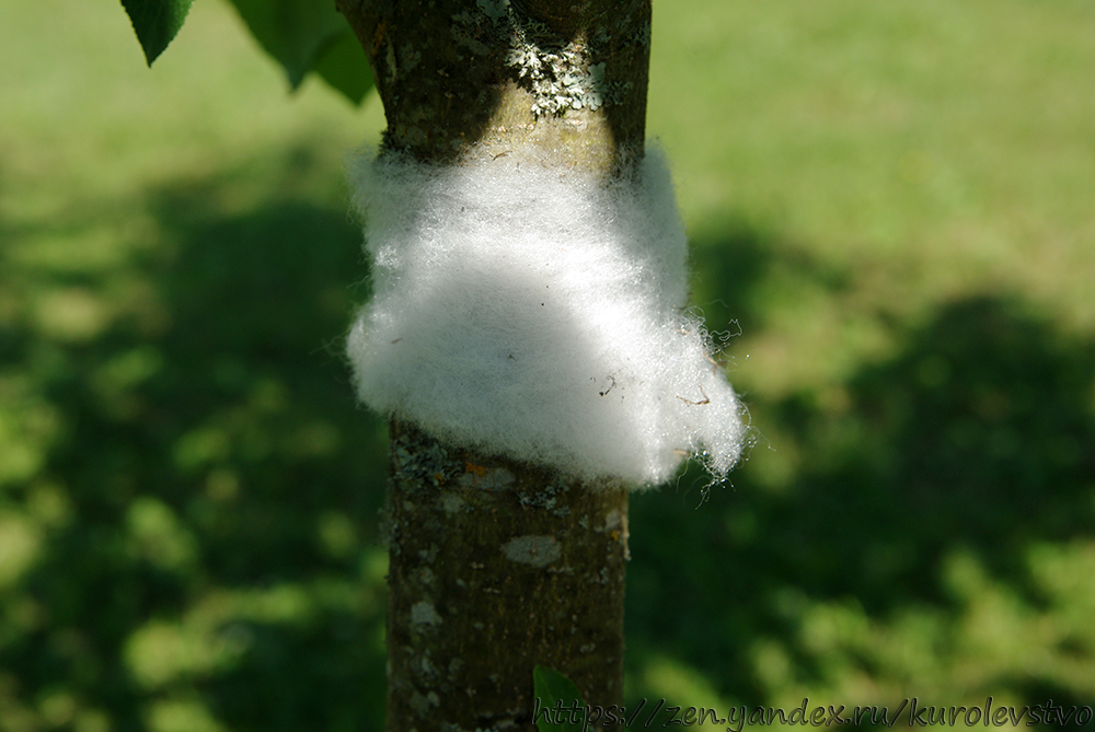 Уплотнение под горлышко бутылки из синтепона