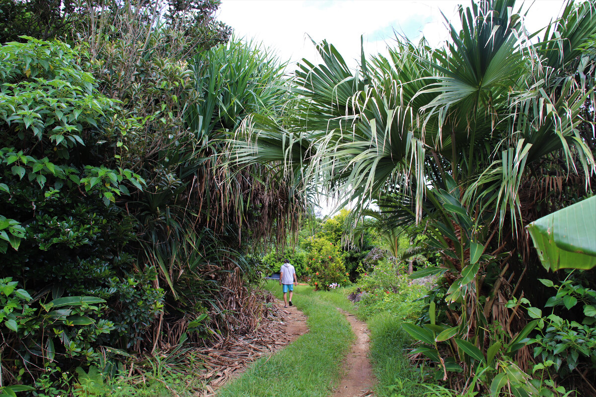 Остров Ishigaki 