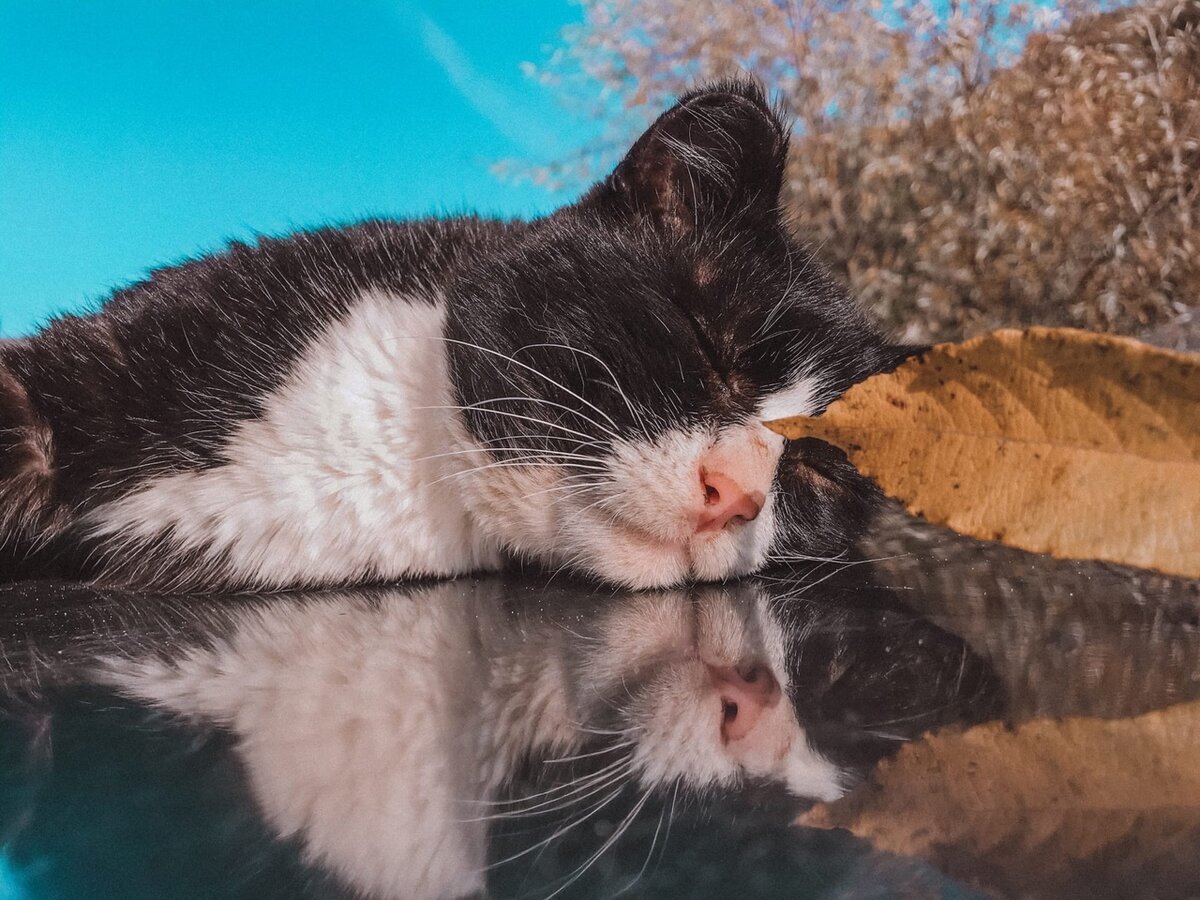 Небольшая фотоссесия осенним днем