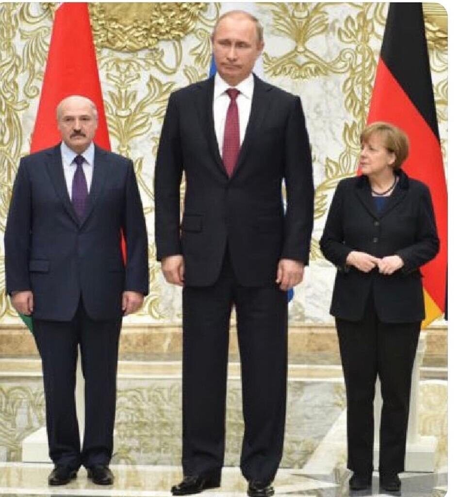 Рост медведева 152. Рост п. Рост п. Дмитрий медведев рост 152. Рост медведева 152 см.