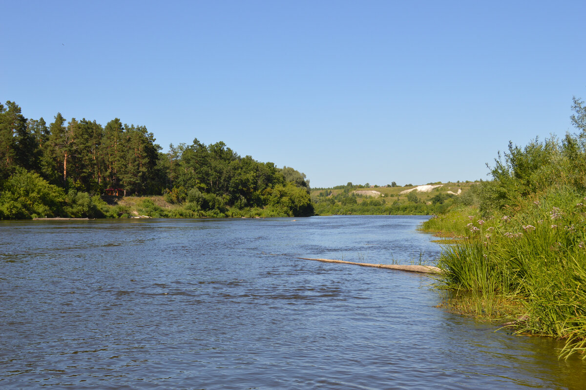 р. Сура. Фото автора