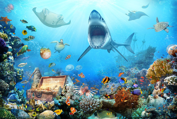 Картинка взята из интернета в свободном доступе