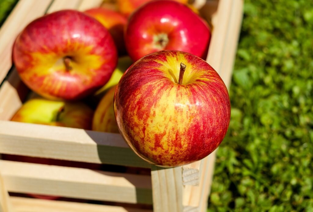 4 лучших рецепта блюд из яблок