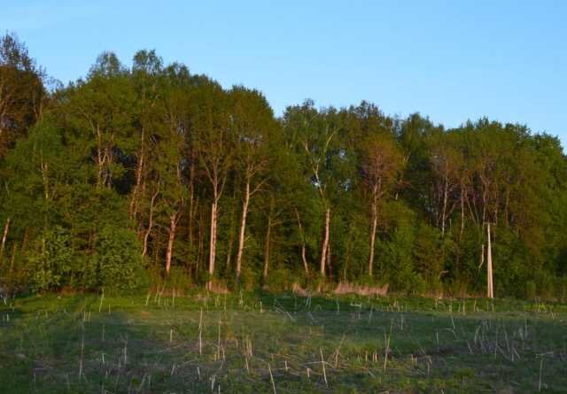 Яндекс.Картинки