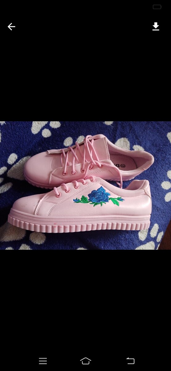 Фото из интернета 