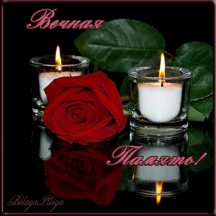 фото из свободных источников